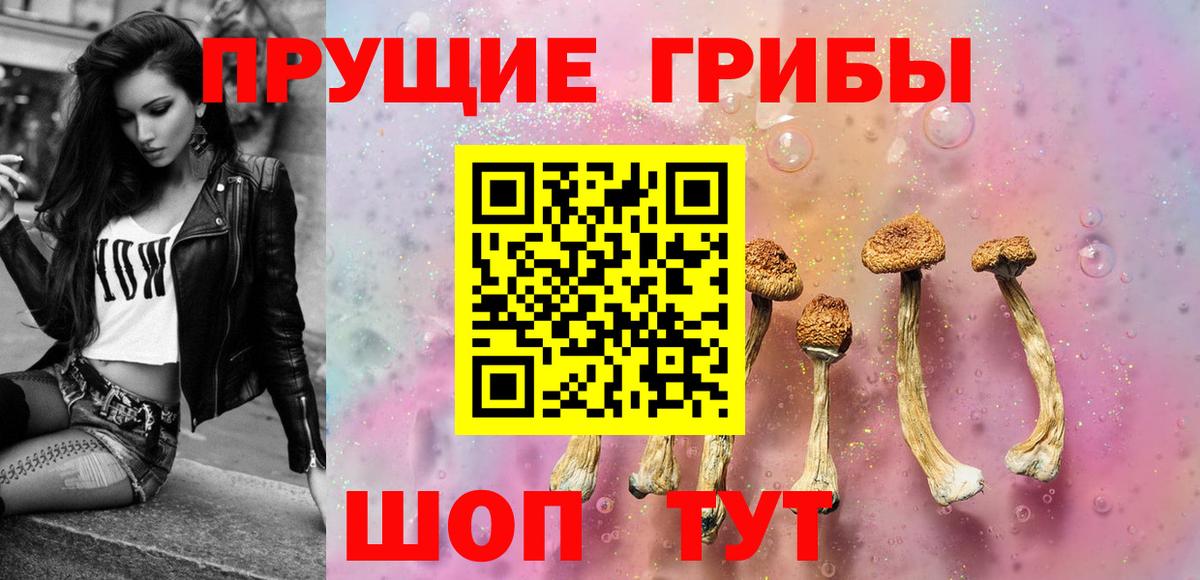 Менделеевск  Псилоцибиновые грибы ЛСД  Вход с VPN 